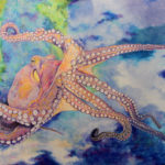 Octopus illustration by Terese Newman